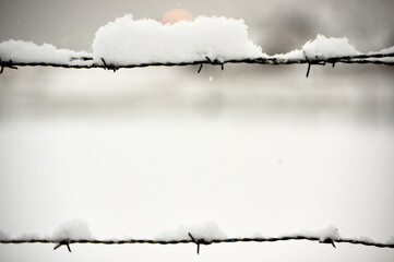 barbed wire with snow