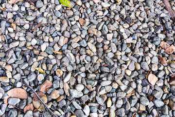 This texture features a blend of gray stones and earthy tones, adorned with delicate branches and...