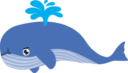 Crédence de cuisine en verre imprimé Baleine cute whale cartoon, sea animal