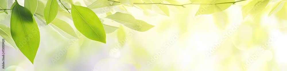 Aufkleber captivating closeup of blurred leaves on tree creating soft and bright bokeh background embodies fre