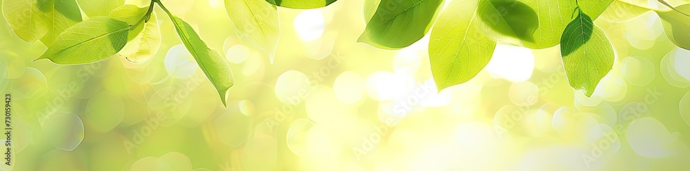 Aufkleber captivating closeup of blurred leaves on tree creating soft and bright bokeh background embodies fre