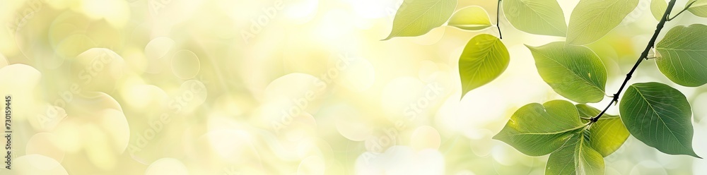 Aufkleber captivating closeup of blurred leaves on tree creating soft and bright bokeh background embodies fre