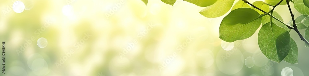 Aufkleber captivating closeup of blurred leaves on tree creating soft and bright bokeh background embodies fre