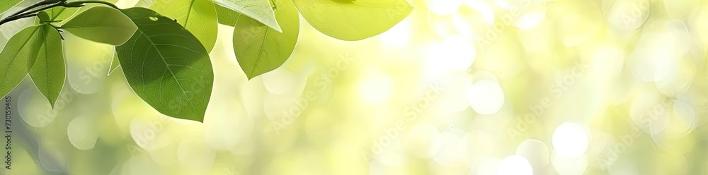 Aufkleber captivating closeup of blurred leaves on tree creating soft and bright bokeh background embodies fre