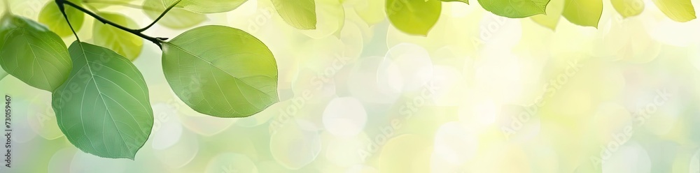 Aufkleber captivating closeup of blurred leaves on tree creating soft and bright bokeh background embodies fre