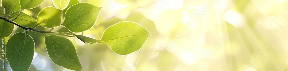 Aufkleber captivating closeup of blurred leaves on tree creating soft and bright bokeh background embodies fre