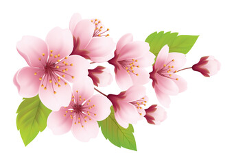 Pink Cherry Blossom Flower Branch
