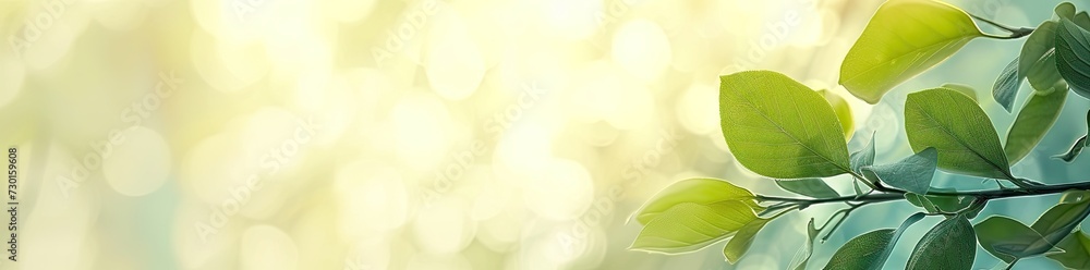 Aufkleber captivating closeup of blurred leaves on tree creating soft and bright bokeh background embodies fre