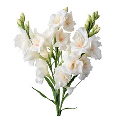 Obraz na płótnie Canvas flower - White Foxglove flowers symbolize sincerity and love