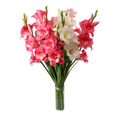 flower - White and pink Foxglove flowers symbolize sincerity and love.