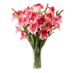 flower - Dark pink Foxglove flowers symbolize sincerity and love.