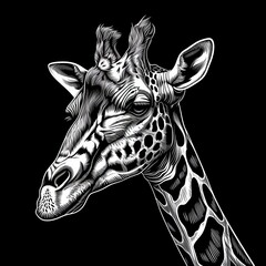 Obraz premium Flat logo giraffe kuznetsk metal style on a black background. Kuznetsk metal style.