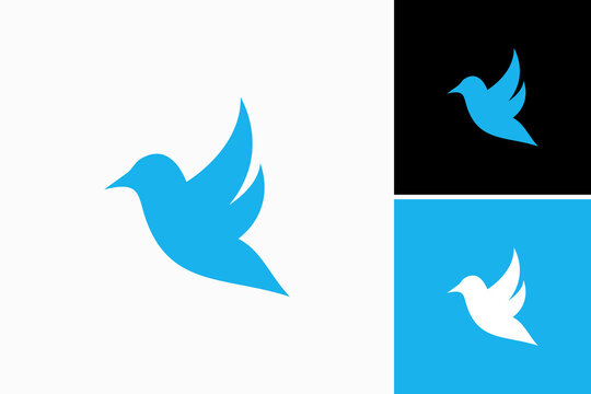 blue bird silhouette logo vector premium sign template