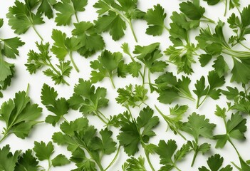 Fototapeta na wymiar Chopped dry parsley leaves pile isolated on white background top view