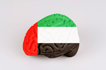 On a white background, a model of the brain with a picture of a flag - UAE