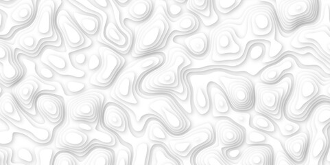 white paper and relief wave and cruve line paper cut background. soft white color seamless pattern, vector illustration, multi layer cutout banner design. topo counter map in 3d view.