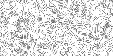abstract white wave paper curved reliefs background. Topography map pattern, Geographic curved, vector illustration. seamless textrue, vintage waves. Panorama view multicolor wave curve line.	