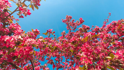 Photo of the Lac du Bourget and the Dent du Chat, in Aix-Les-Bains in Savoie, France