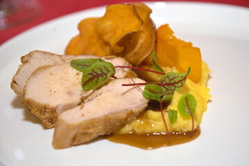 Hühnerfleisch mit Polenta und Sauce delikat zubereitet
