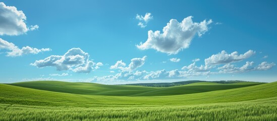 Fototapeta na wymiar Scenic scene with green fields and blue skies, few clouds