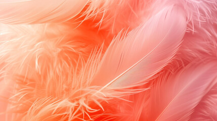 Obraz premium Beautiful soft pink orange color trends feather pattern texture background.