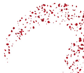 Realistic red rose petals with transparent background. Vector illustration