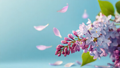 Floral banner with a sprig of lilac and flying petals on blue background, copy space