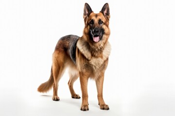 German shepherd dog clipart