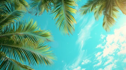 Fototapeta na wymiar Lush palm leaves against a vivid turquoise sky transport you to an exotic island