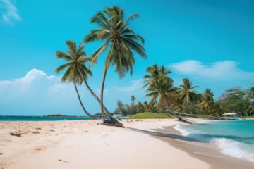 Foto op Plexiglas Karibischer Strand © Christopher