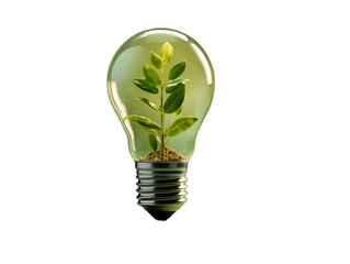 light bulb ecology ecology creative. isolated . A light bulb with green leaves inside.
