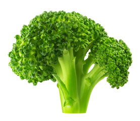 Broccoli isolated on transparent background.