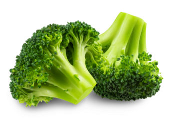 Two fresh broccoli isolated on a transparent background.