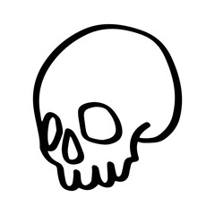 skull bone illustration