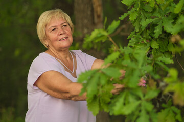 Amidst the greenery, the senior s inquisitive look towards the foliage reflects wisdom gained from years of environmental stewardship.