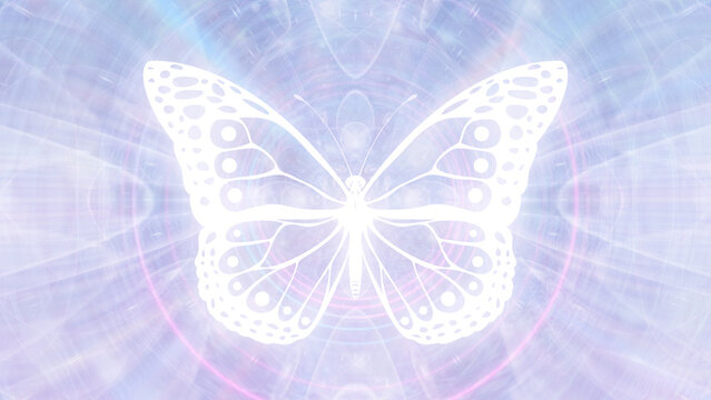 Glowing White Butterfly on Ethereal Background Meditation Cover Image, Thumbnail