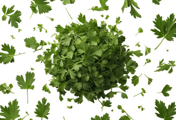 Chopped dry parsley leaves pile isolated on white background top view