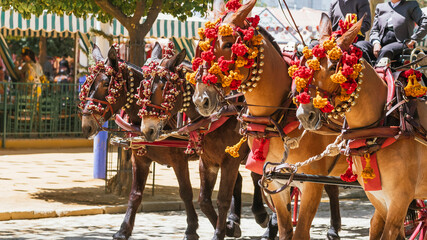 Elegant Horses Adorned for Seville’s April Fair Celebration - obrazy, fototapety, plakaty