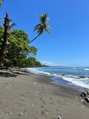 Sandy beach on ocean with blue sky and palm tree in Corcovado National Park, Costa Rica 