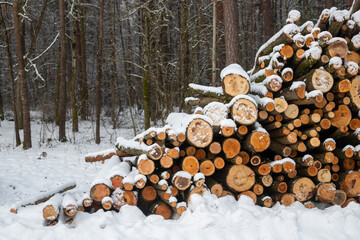Forest's Winter Harvest: Snow-Capped Log Pile