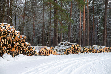 Forest's Winter Harvest: Snow-Capped Log Pile