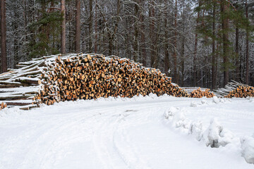Forest's Winter Harvest: Snow-Capped Log Pile