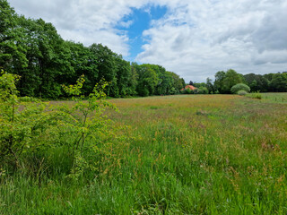 Obraz premium Rural landscape of western part of Dutch province Groningen