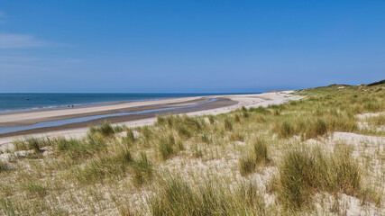 Sandy dunes with Marram grass (Ammophila arenaria) and beach; Burgh-Haamstede, Zeeland, Netherlands