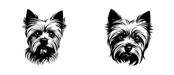 Yorkshire Terrier dog breed head vector illustration. Pet portrait in style of hand drawn black doodle on white background - obrazy, fototapety, plakaty