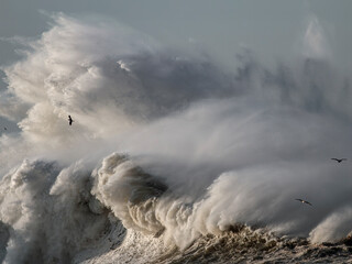 Big stormy breaking wave