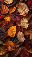 Colors of autumn leaves. Portrait mode.