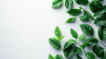 Green leaves on a white background with copy space. Generative AI