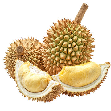 durain fruit PNG transparent background