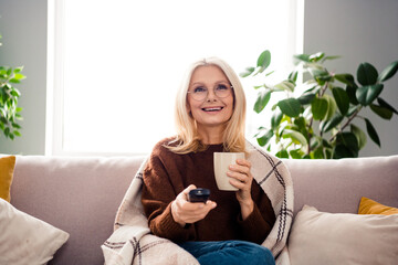 Photo of positive lovely retired woman sitting on comfy soft divan watching fascinating movie...